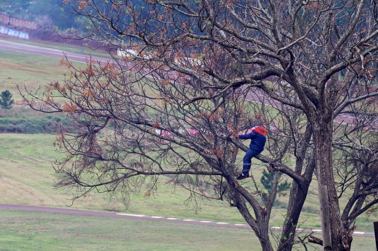 Turismo Carretera en Posadas: TC11.jpg