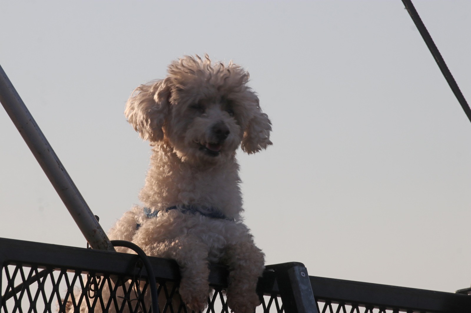 Las mejores fotos del TC en Posadas: IMG-20230701-WA0153.jpg