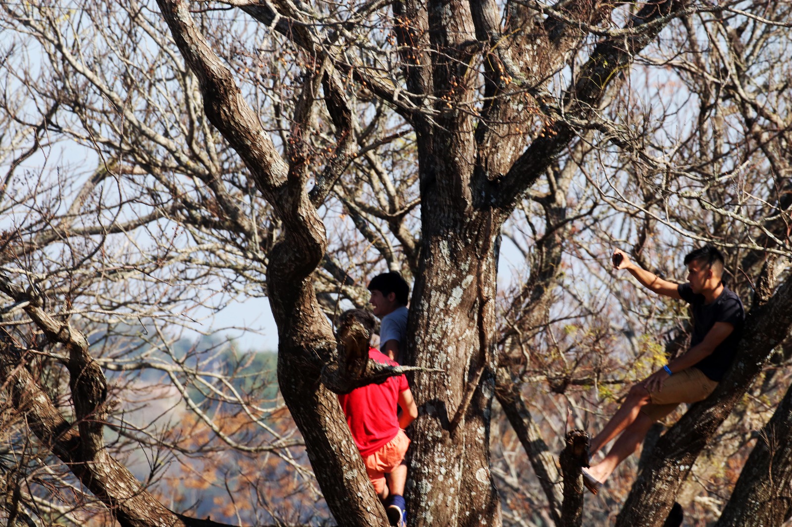 Las mejores fotos del TC en Posadas: IMG-20230702-WA0075.jpg