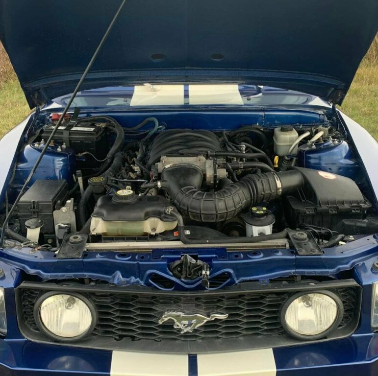 Mirá las fotos del Mustang hecho camioneta: ford-mustang-gt-pickup-f100-3-658ad89eeaca4.jpg