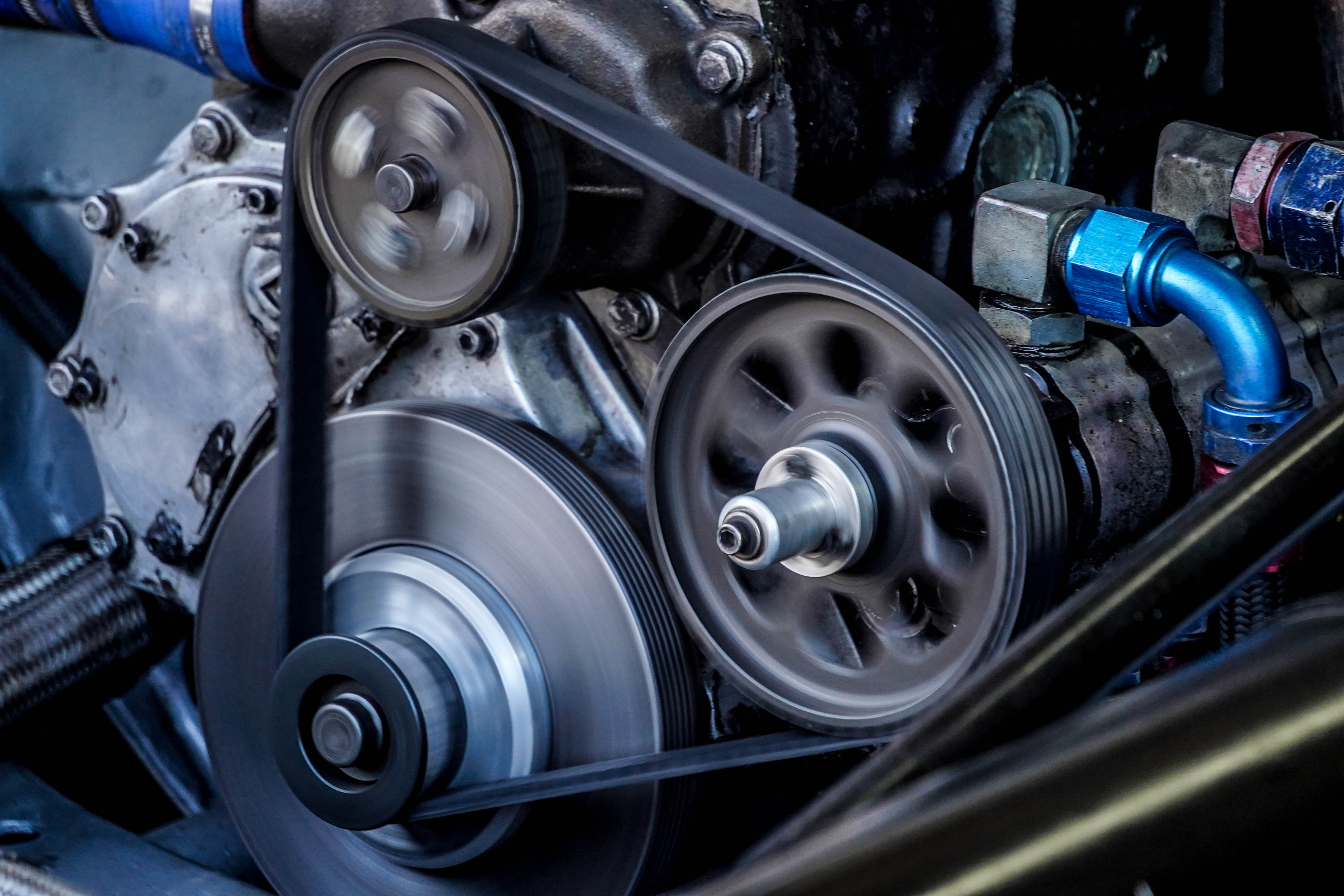 LO MÁS DESTACADO DESDE EL FOCO DE BRAIAN ALARCÓN: DSC07621.jpg