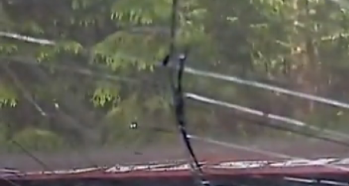 Así fue el duro accidente del papá de Verstappen en el Campeonato Europeo de Rally