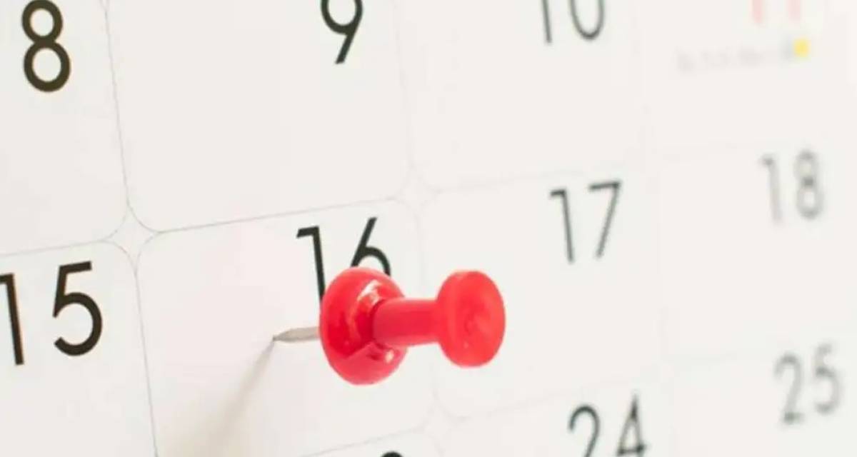 ¿Es feriado el próximo 24 de noviembre?