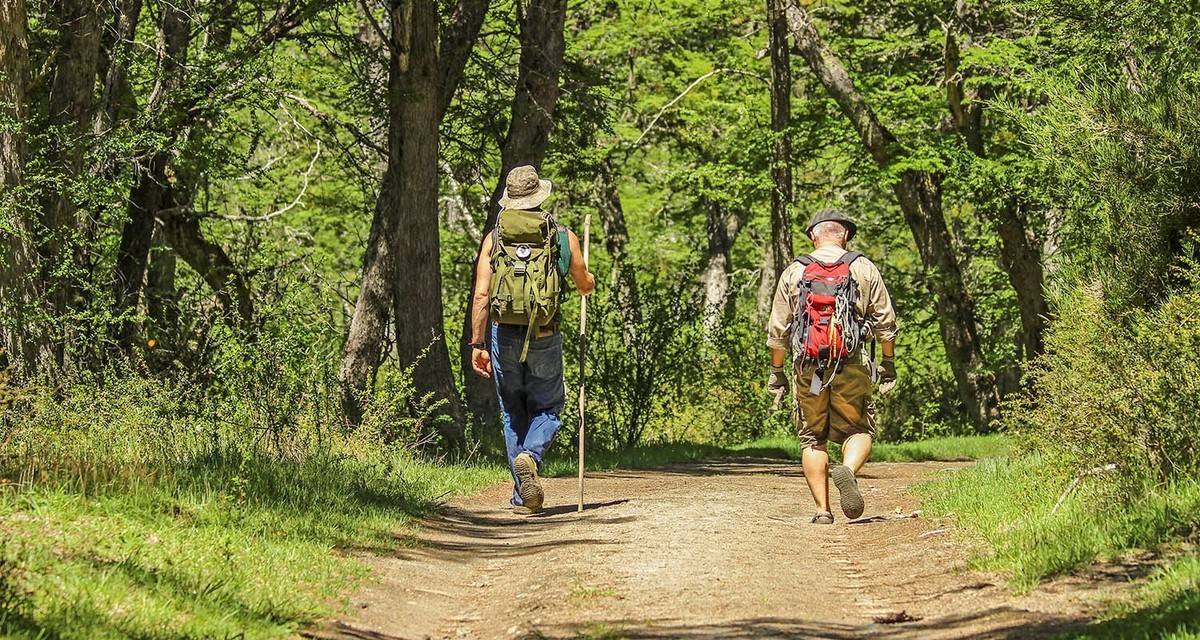 Salud y bienestar: por qué 30 minutos de caminata diaria pueden transformar su vida