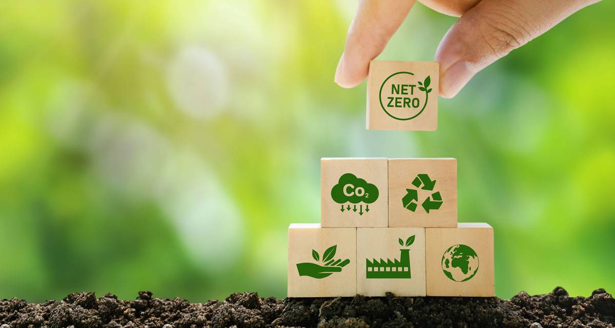 Blockchain y carbono: ¿transparencia o greenwashing digital?