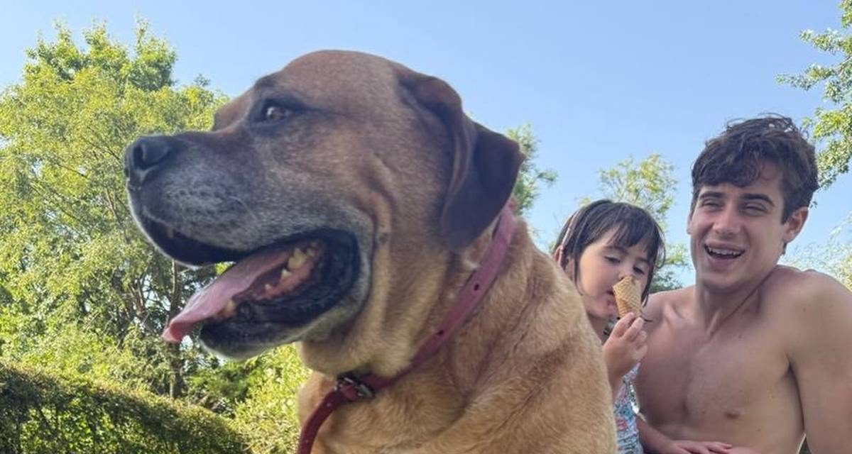 F1: amigos, playa y golf, las postales de las vacaciones de Franco Colapinto en Argentina