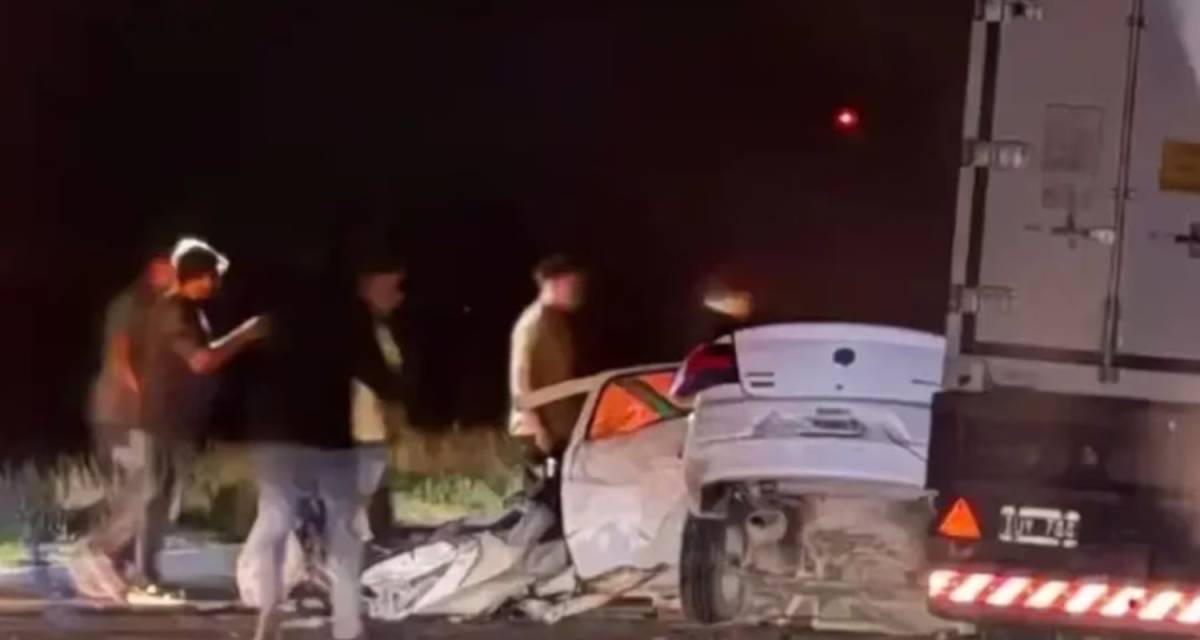 Un hombre intentó esquivar dos carpinchos en la Ruta 3 y murió