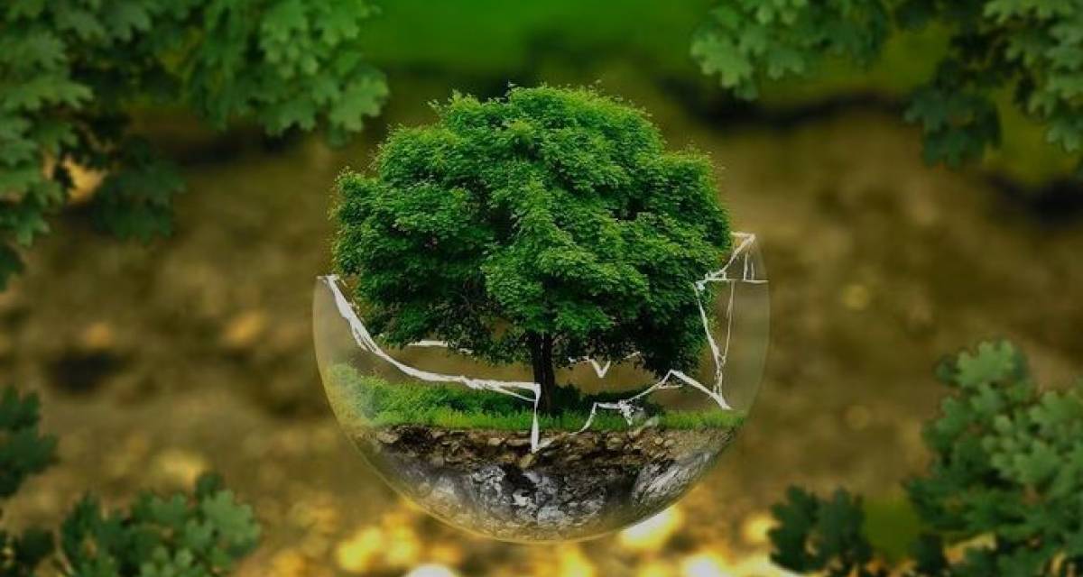 Cambio climático y ciencia regional: entre dependencia global y urgencia local