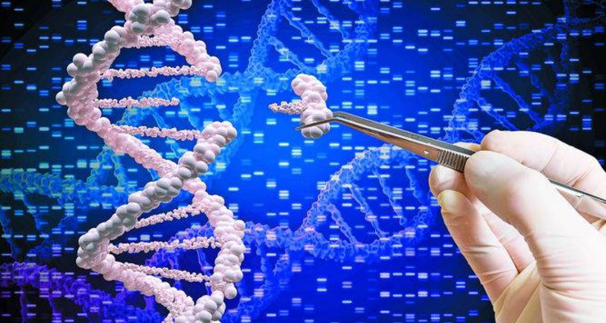 Edición genética: ¿hasta dónde puede llegar la humanidad al modificar el ADN?
