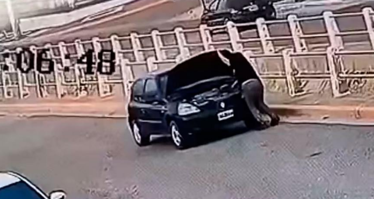 Comodoro Rivadavia: fue atropellada por su propio auto mientras revisaba la batería