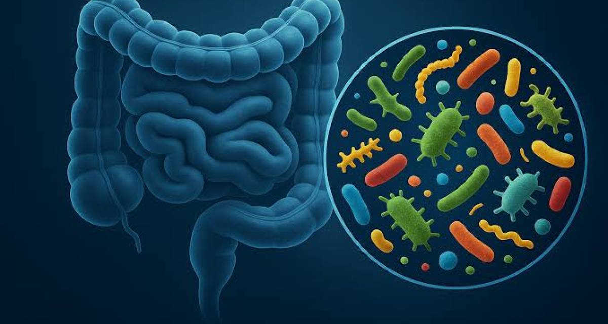Salud y bienestar: la revolución del microbioma: cómo las bacterias de tu intestino moldean tu estado de ánimo