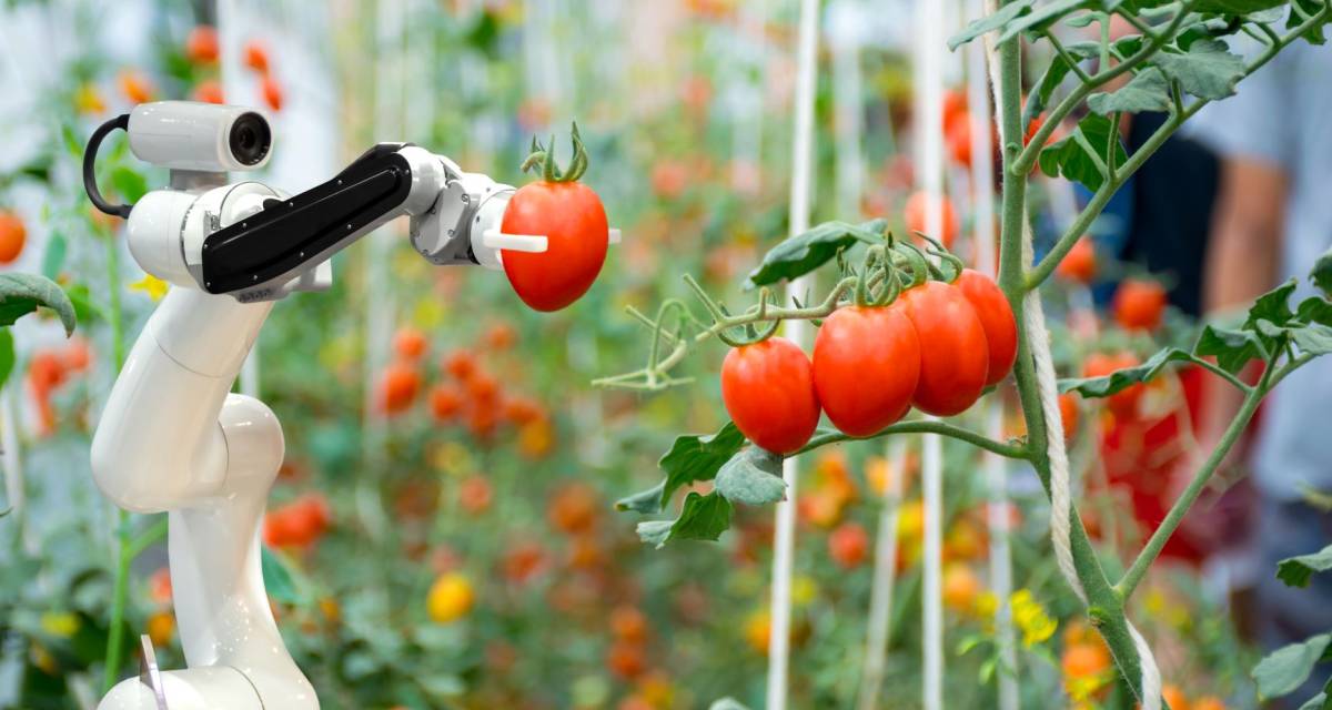 Robots colaborativos: los casos reales de automatización que están transformando la industria argentina