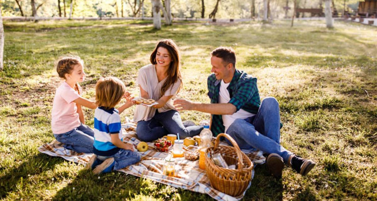 Salud y bienestar: picnic seguro y playa sin riesgos: cómo evitar la contaminación cruzada y cuidar la cadena de frío al comer al aire libre