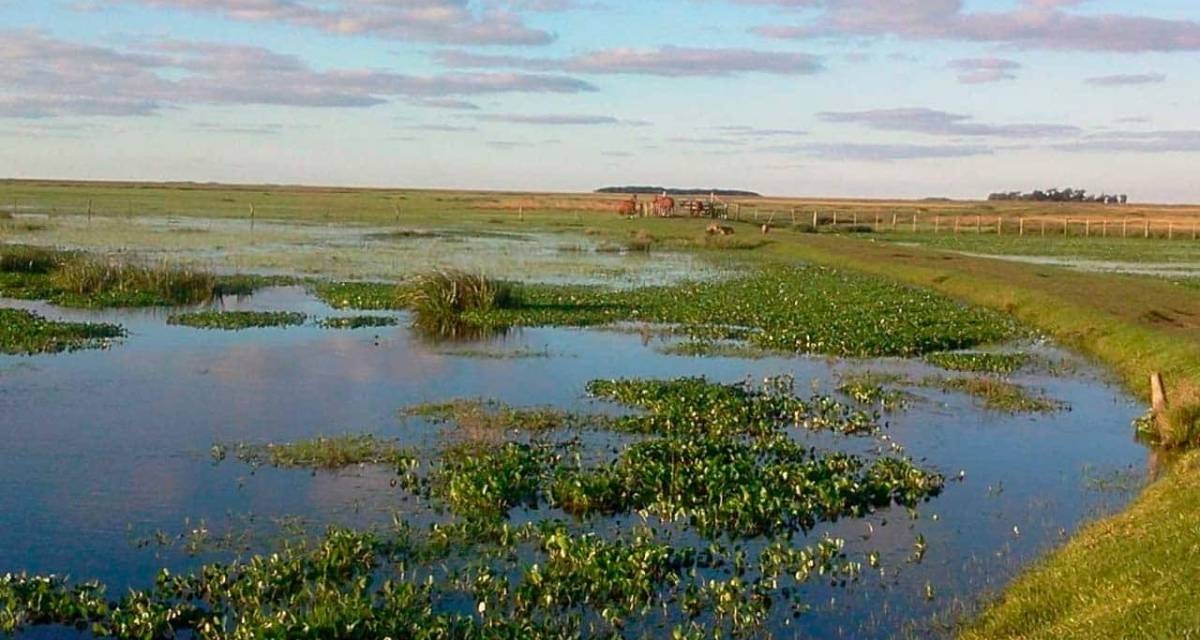 Los humedales como infraestructura natural frente a inundaciones y sequías