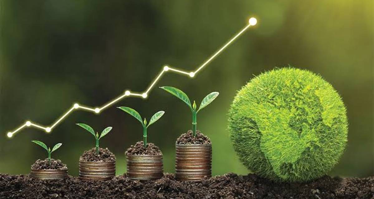 El auge de los bonos verdes y el financiamiento sostenible en Argentina