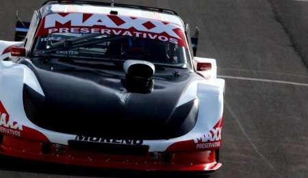 Cotignola bien despierto