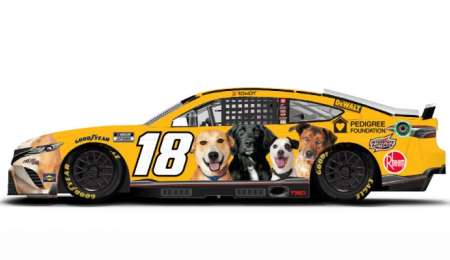 Kyle Busch corre por la adopción de mascotas