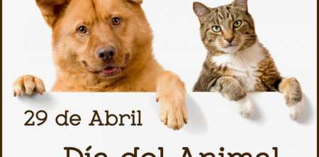 29 de abril: Día del Animal y el cordobés que defendió su la celebración