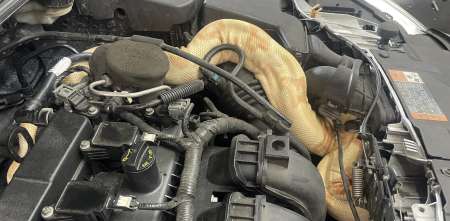 ¡Insólito! Encontró una serpiente en el motor del auto