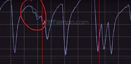 F1: ¿Cómo rindió Colapinto en Austin según la telemetría?