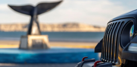 Jeep Nature: experiencias de manejo con la naturaleza de Argentina