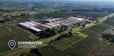 Scania Argentina genera energía para la producción de Yerba Playadito