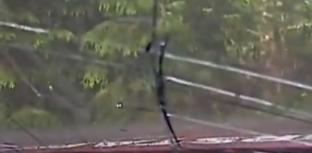 Así fue el duro accidente del papá de Verstappen en el Campeonato Europeo de Rally