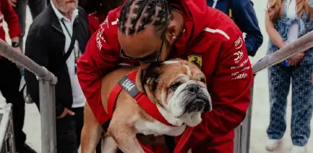 Murió Roscoe, el perro de Lewis Hamilton: "Tuve que tomar la decisión más difícil de mi vida"