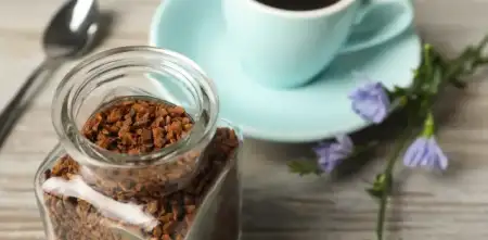 Salud y bienestar: alternativas saludables al café para un despertar sostenible