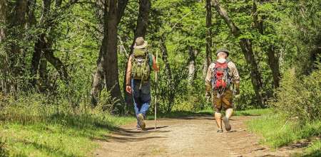 Salud y bienestar: por qué 30 minutos de caminata diaria pueden transformar su vida