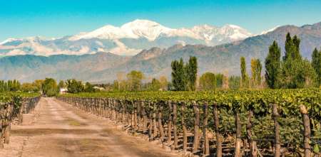 Clima en Mendoza: el pronóstico del tiempo para este martes 6 de enero de 2026