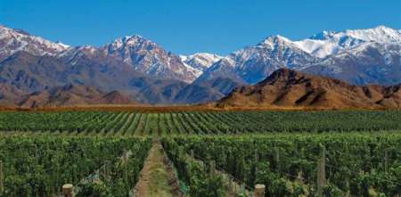 Clima en Mendoza: qué dice el pronóstico para este martes 10 de febrero de 2026