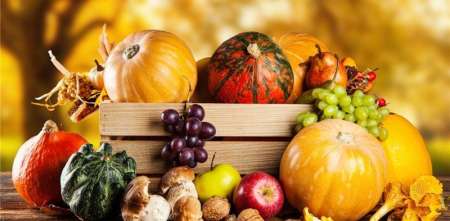 Salud y bienestar: ¿Cómo adaptar tu dieta para recibir al otoño con energía?