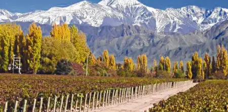 Clima en Mendoza hoy: cómo estará el tiempo este martes 3 de marzo de 2026 según el SMN