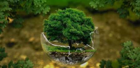 Cambio climático y ciencia regional: entre dependencia global y urgencia local