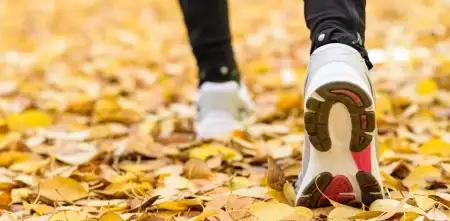 Salud y bienestar: por qué el otoño es la mejor temporada para abandonar el sedentarismo