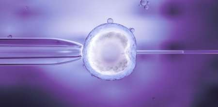 CRISPR en humanos: el poder de editar la vida y sus límites éticos