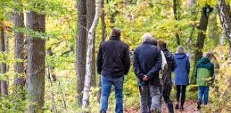 Salud y bienestar: cómo el cambio de luz otoñal altera nuestro descanso y productividad