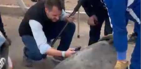 TC: así inspeccionaban el auto de Lugón tras el desprendimiento del neumático en Neuquén