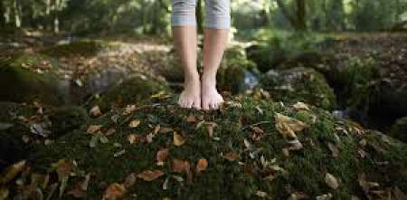 Salud y bienestar: el antídoto de 20 minutos que la ciencia receta contra el estrés urbano