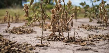 Sequía histórica y ciencia: ¿qué dicen los datos?