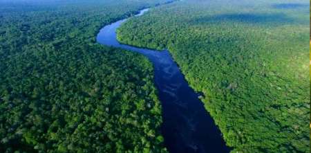 Amazonia bajo vigilancia satelital: la tecnología que monitorea incendios y deforestación en tiempo real