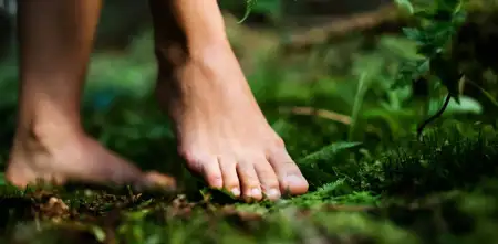 Salud y bienestar: por qué volver a conectar descalzos con la tierra transforma la salud