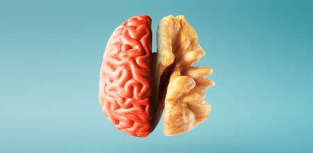 Salud y bienestar: el segundo cerebro: cómo la salud de tu intestino moldea tus emociones y tu mente
