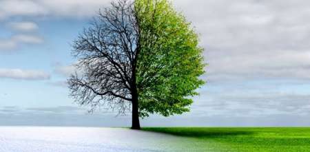 Salud y bienestar: transición alimentaria de invierno a primavera: cómo pasar a platos más frescos sin pasar hambre