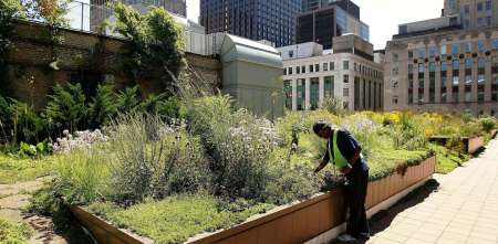 Los techos verdes que empiezan a cambiar el paisaje urbano argentino