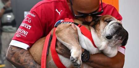 El sentido recuerdo de Lewis Hamilton a un año de la muerte de Roscoe, su perro
