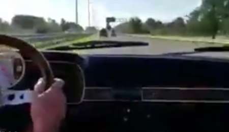 ¡Ojo! abuelos pisteros