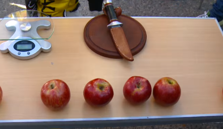 Los pilotos, al corte