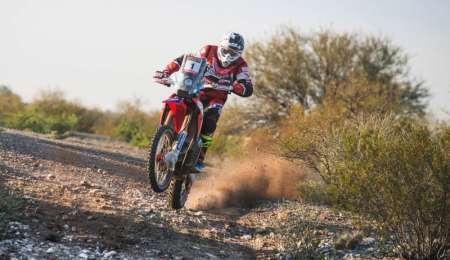 BARREDA Y BENAVIDES, PALMO A PALMO